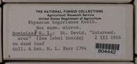 Image Associated With the Occurence